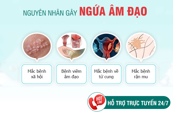 Cách chữa ngứa vùng kín hiệu quả nhanh, an toàn