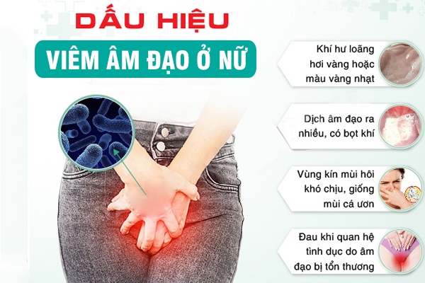 Viêm âm đạo - Nguyên nhân và hình ảnh nhận biết bệnh