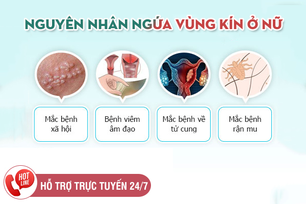 Bị ngứa vùng kín và cách chữa trị hiệu quả nhanh